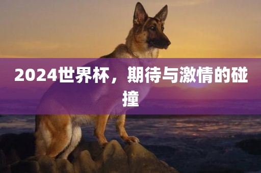 20眉山市正发家政服务有限公司24世界杯，期待与激情的碰撞