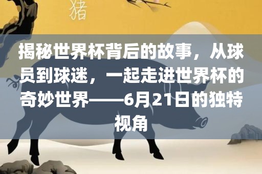 meinan 第8页