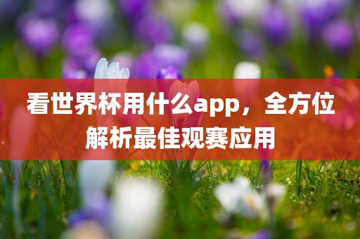 看世界杯用什么app，全方位解析最佳观赛应用眉山市正发家政服务有限公司