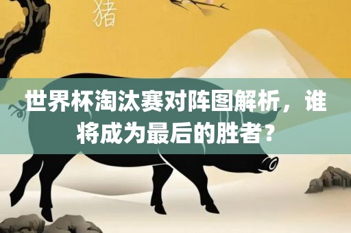 世界杯淘汰赛对阵图解析眉山市正发家政服务有限公司，谁将成为最后的胜者？