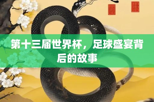 第十三届世界杯，足球盛宴背后的故事眉山市正发家政服务有限公司