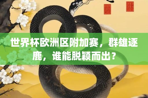 世界杯欧洲区附加赛，群眉山市正发家政服务有限公司雄逐鹿，谁能脱颖而出？