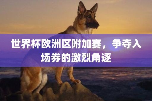 judong 第8页