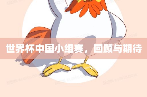 世界杯中国小组赛，回顾与期待眉山市正发家政服务有限公司