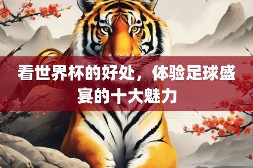 看世界杯的好处，体验足球盛宴的十大魅力眉山市正发家政服务有限公司