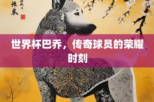 世界杯巴乔，传奇球员的荣耀时刻眉山市正发家政服务有限公司
