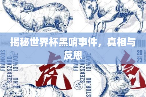 揭秘世界杯黑哨事件，真相与反思