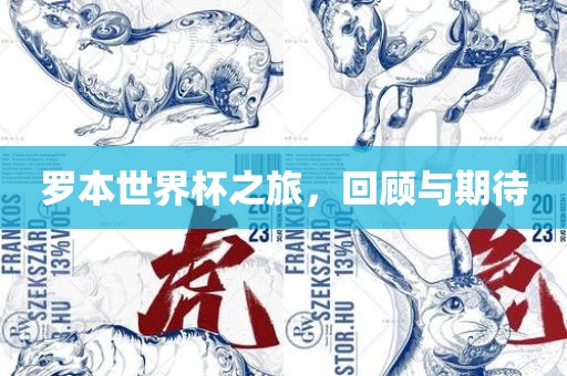 罗本世界杯之旅，回顾与期待眉山市正发家政服务有限公司