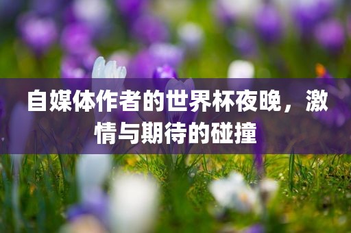 自媒体作者的世界杯夜晚，激情与期待的碰撞