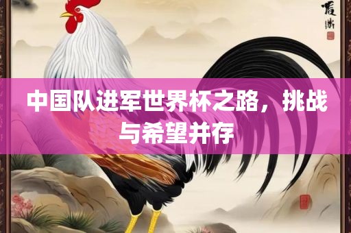 中国队进军世界杯之路，挑战与希望并存