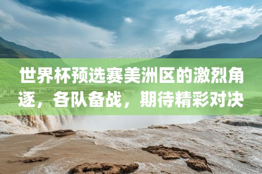 世界杯预选赛美洲区的激烈角逐，各队备战，期待精彩对决眉山市正发家政服务有限公司