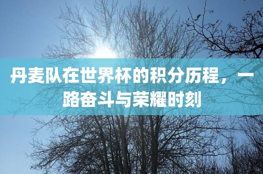 丹麦队在世界杯的积分历程，一路奋斗与荣耀时刻眉山市正发家政服务有限公司