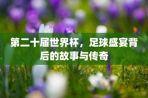 第二十届世界杯，足球盛宴背后的故事与传奇眉山市正发家政服务有限公司