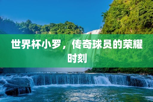 世界杯小罗，传奇球员的荣耀时刻眉山市正发家政服务有限公司