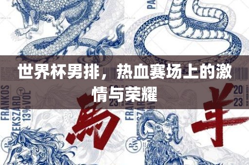 世界杯男排，热血赛场上的激情与荣耀眉山市正发家政服务有限公司