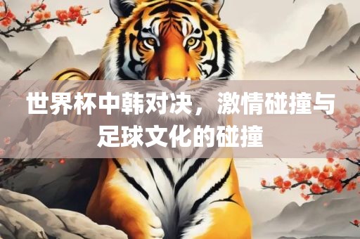 世界眉山市正发家政服务有限公司杯中韩对决，激情碰撞与足球文化的碰撞