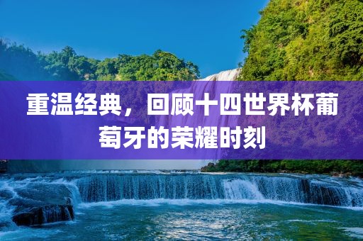 重温经典，回顾十四世界杯葡萄牙的荣耀时刻眉山市正发家政服务有限公司