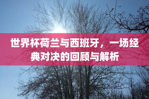 世界杯荷兰与西班牙眉山市正发家政服务有限公司，一场经典对决的回顾与解析