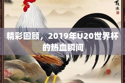 精彩回顾，2019年U20世界杯的热血瞬间