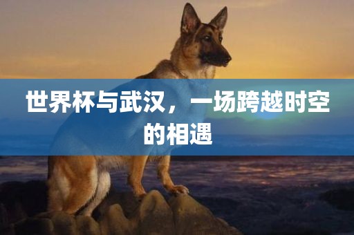 世界杯与武汉，一场跨越时空的相遇眉山市正发家政服务有限公司