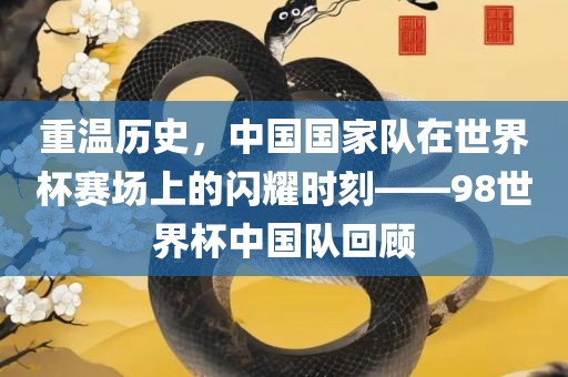 重温历史，中国国家队在世界杯赛场上的闪耀时刻——98世界杯中国队回顾眉山市正发家政服务有限公司