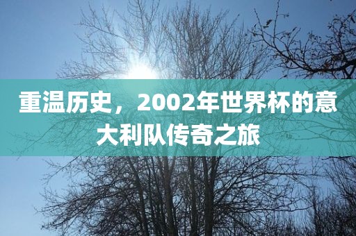 重温历史，2002年世界杯的意大利队传奇之旅眉山市正发家政服务有限公司