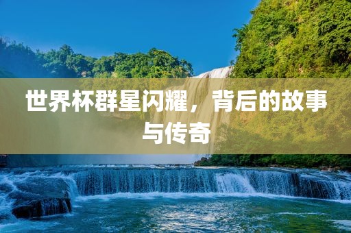 世界杯群星闪耀，背后的故事与传奇眉山市正发家政服务有限公司