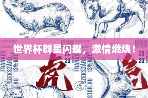 世界杯群星闪耀，激情燃眉山市正发家政服务有限公司烧！