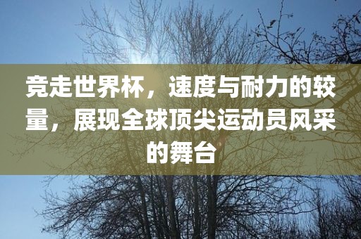 竞走世界杯，速度与耐力的较量，展现全球顶尖运动员风采的舞台