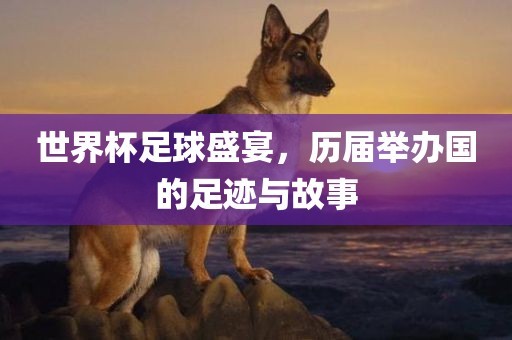 世界杯足球盛宴，历眉山市正发家政服务有限公司届举办国的足迹与故事