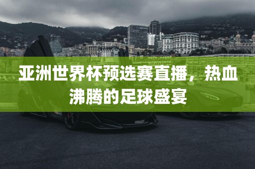 亚洲世界杯预选赛直播，热血沸腾的足球盛宴眉山市正发家政服务有限公司