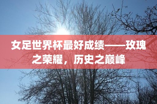 女足世界杯最眉山市正发家政服务有限公司好成绩——玫瑰之荣耀，历史之巅峰
