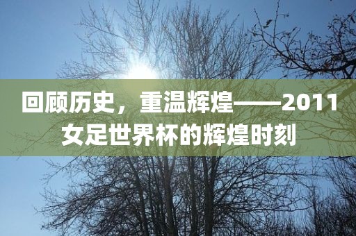 回顾历史眉山市正发家政服务有限公司，重温辉煌——2011女足世界杯的辉煌时刻