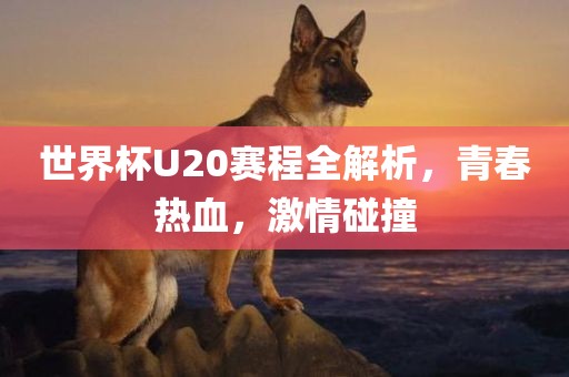 世界杯U20赛程全解析，青春热血，激情碰撞眉山市正发家政服务有限公司