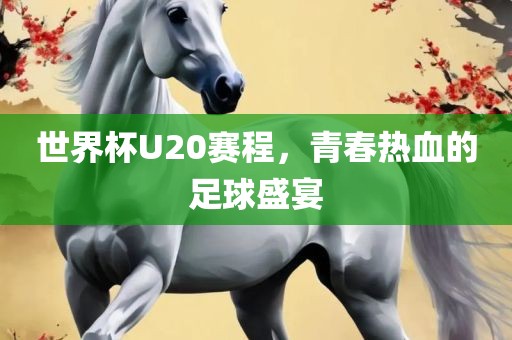 世界杯U20赛程，青春热血的足球盛宴