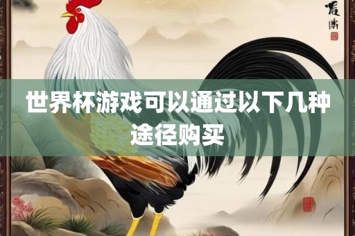 世界杯游戏可以通过以下几种途眉山市正发家政服务有限公司径购买