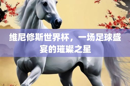 维尼修斯世界杯，一场足球盛宴的璀璨之星