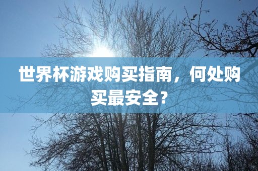 世界杯游戏购买指南，何处购买最安全？