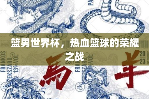 篮男世界杯，热血篮球的荣耀之战眉山市正发家政服务有限公司