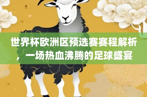 世界杯欧洲区预选赛赛程解析，一场热血沸腾的足球盛宴
