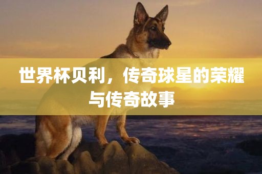 世界杯贝利，传奇球星的荣耀与传奇故事眉山市正发家政服务有限公司