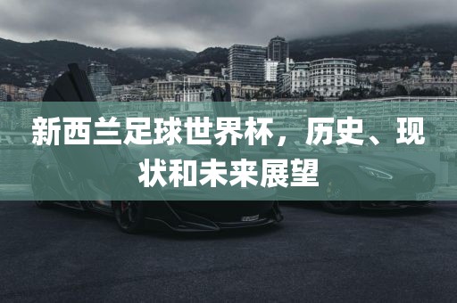 新西兰眉山市正发家政服务有限公司足球世界杯，历史、现状和未来展望