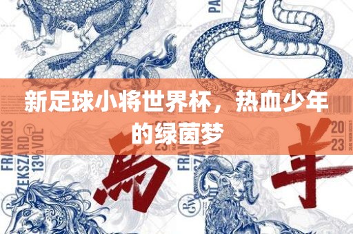 新足球小将世界杯，热血眉山市正发家政服务有限公司少年的绿茵梦