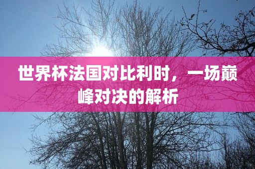 眉山市正发家政服务有限公司世界杯法国对比利时，一场巅峰对决的解析