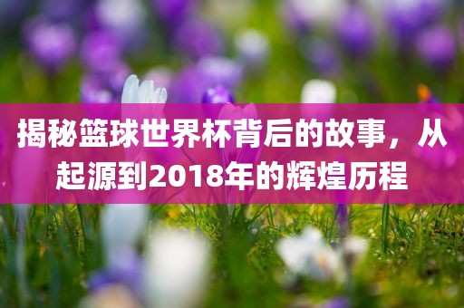 揭秘篮球世界杯背后的故事，从起源到2018年的辉煌历程眉山市正发家政服务有限公司