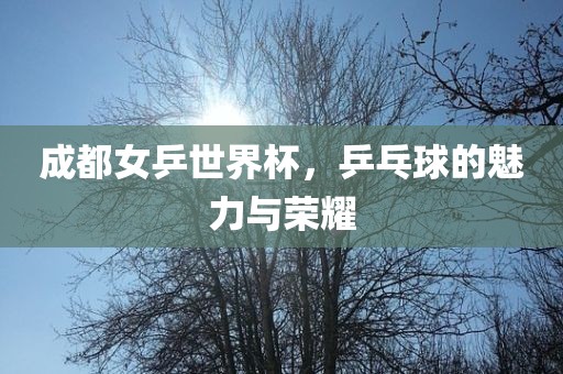 成都女乒世界杯，乒乓球的魅力与荣耀