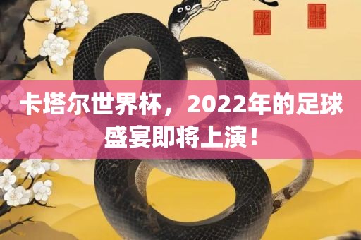 卡塔尔世界杯，2022年的足球盛宴即将上演！眉山市正发家政服务有限公司