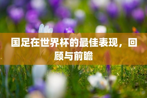国足在世界杯的最佳表现，回顾与前瞻