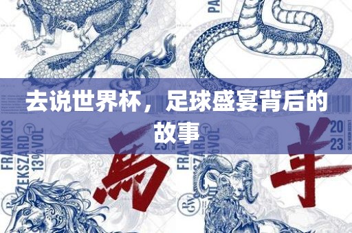 去说世界杯，足球盛宴背后的故事眉山市正发家政服务有限公司