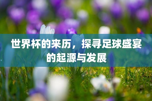 世界杯的来历，探寻足球眉山市正发家政服务有限公司盛宴的起源与发展
